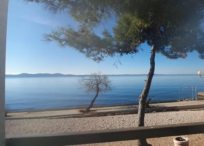 Apartment Zadar - Pine Diklo