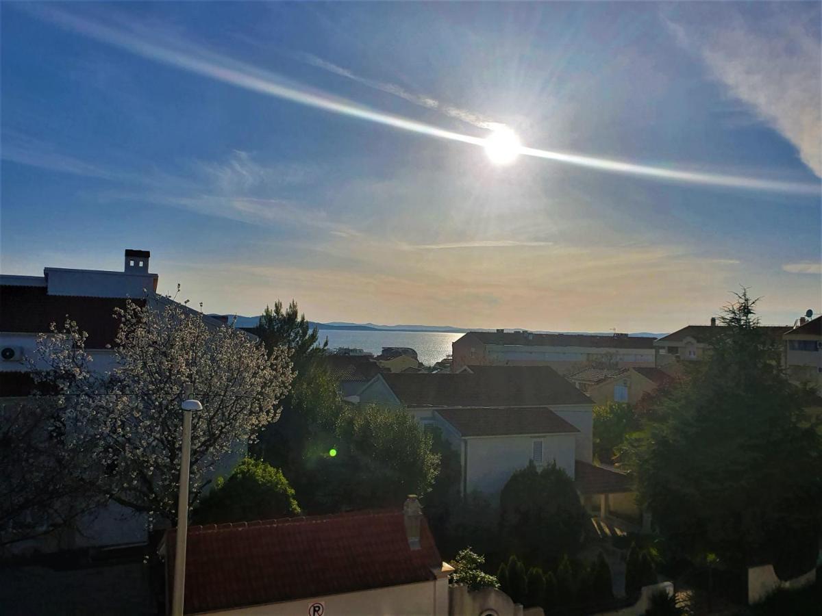 - Pine Diklo Zadar