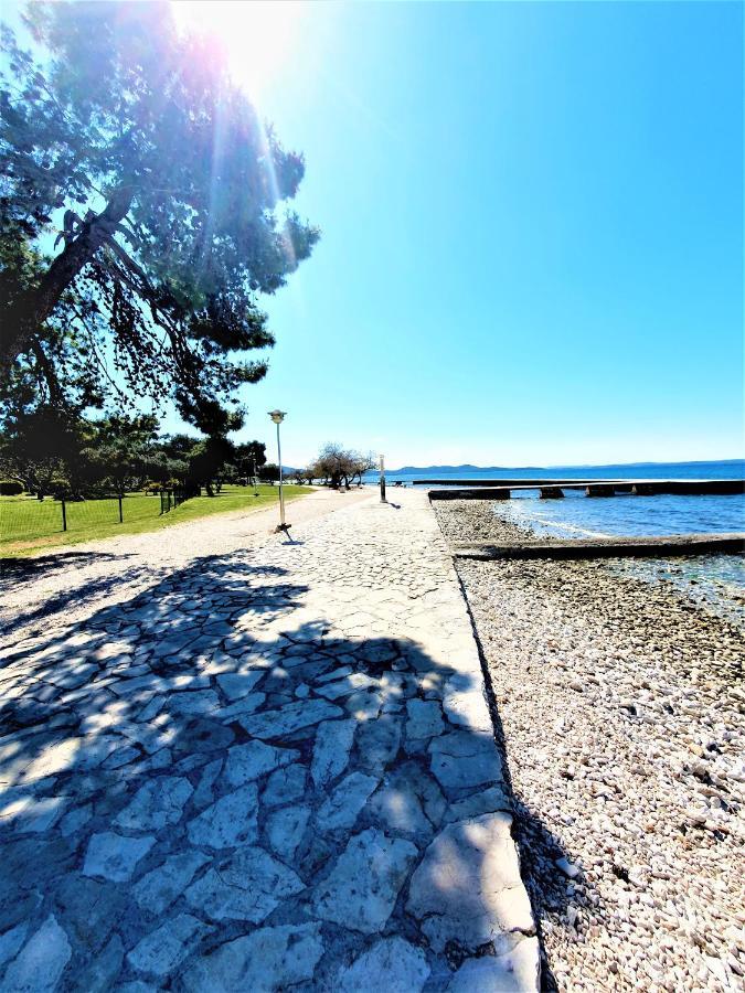- Pine Diklo Apartment